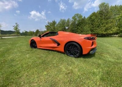 Vette on the lawn