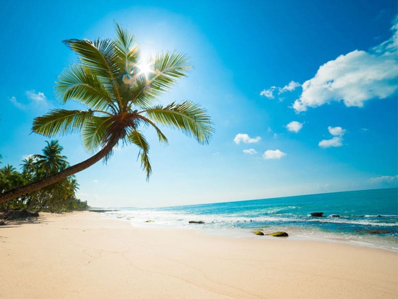 travel_gift_certificate Early-Bird Prize: Travel Gift Certificate